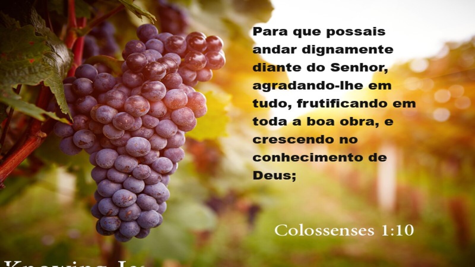 Colossenses 1:10 (black)